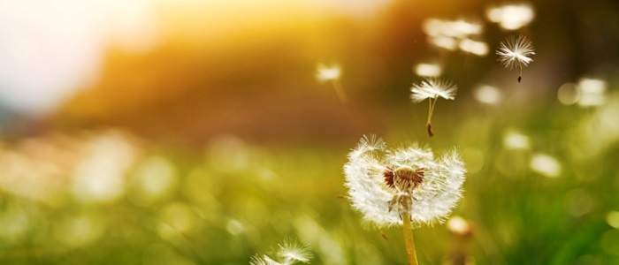 iStock_87891139_SMALL.jpg